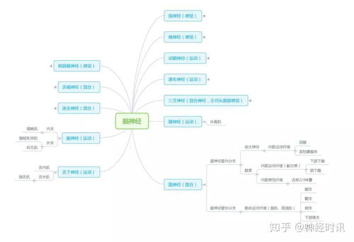 周围神经脑神经图谱以及思维导图