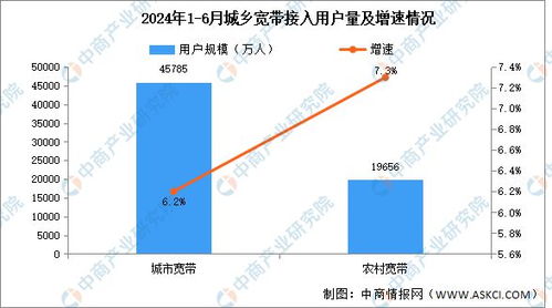 2024年1 6月互联网累计计入流量及城乡宽带接入用户分析