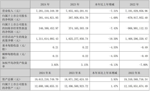 光环新网2024年营收72.81亿元 同比下降7.31