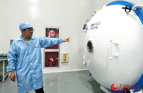 访嘉看兴，互联网接入及相关服务秀出强劲新质动能