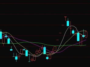 高升控股主力资金疯狂加仓，互联网接入及相关服务本周走势或已成定局