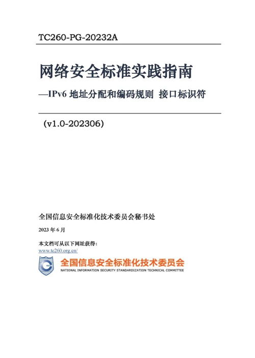 信安标委发布 网络安全标准实践指南 ipv6地址分配和编码规则 接口标识符